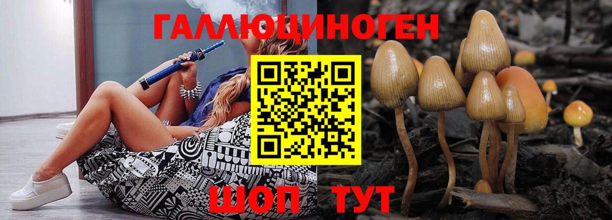 Псилоцибиновые грибы ЛСД Красноярск